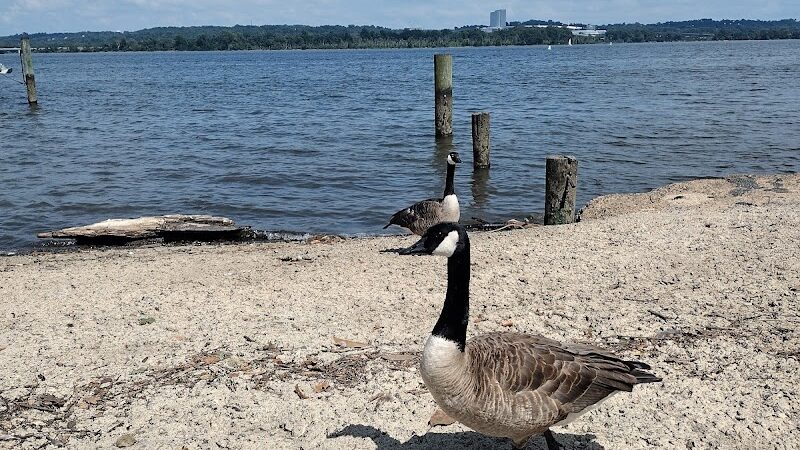 Waterfront Park - Alexandria, VA