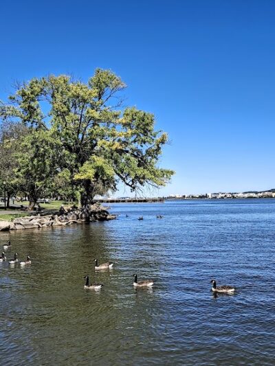 Waterfront Park - Alexandria, VA