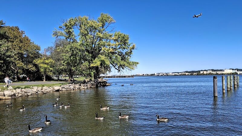 Waterfront Park - Alexandria, VA
