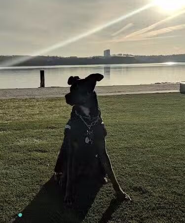 Waterfront Park - Alexandria, VA