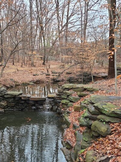Winkler Botanical Preserve - Alexandria, VA