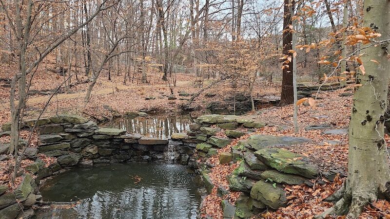 Winkler Botanical Preserve - Alexandria, VA