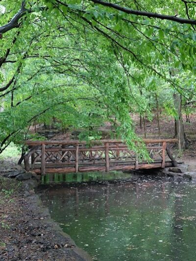 Winkler Botanical Preserve - Alexandria, VA