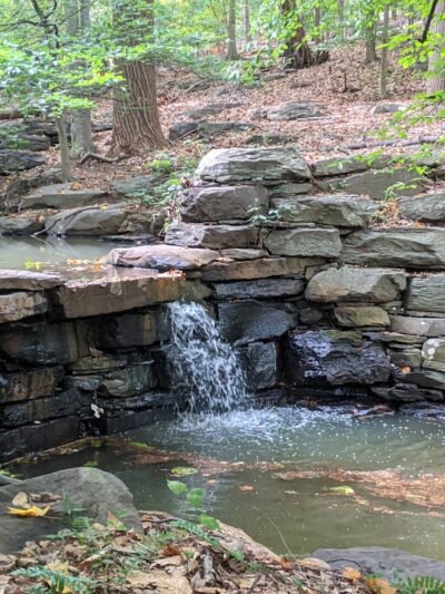 Winkler Botanical Preserve - Alexandria, VA