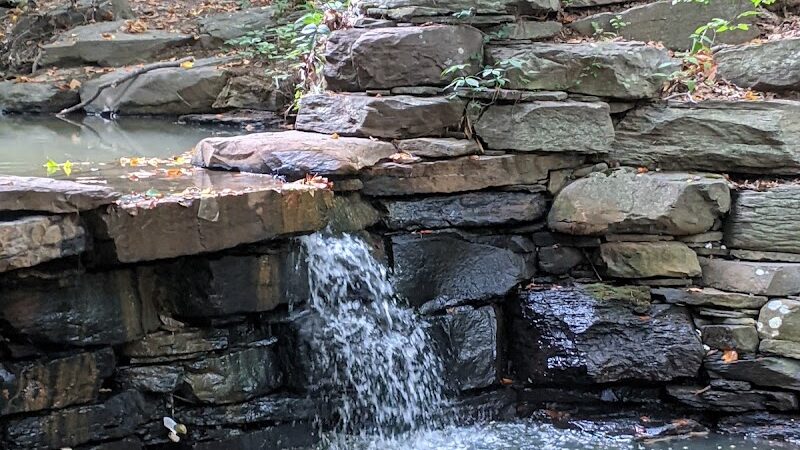 Winkler Botanical Preserve - Alexandria, VA