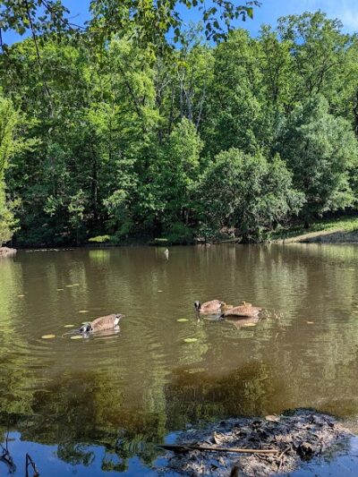 Winkler Botanical Preserve - Alexandria, VA
