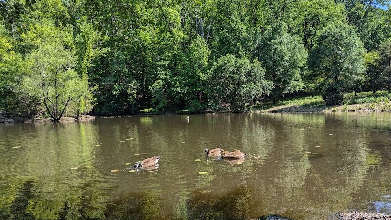 Winkler Botanical Preserve - Alexandria, VA