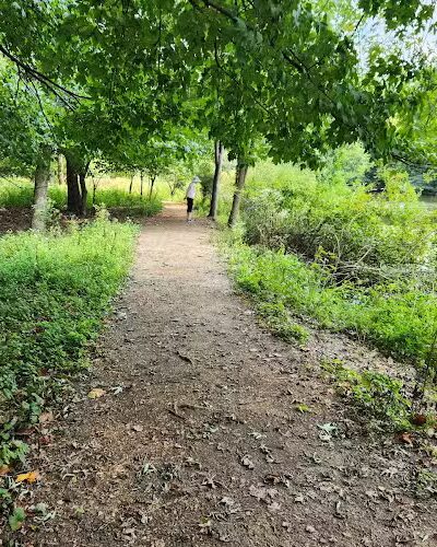 Winkler Botanical Preserve - Alexandria, VA