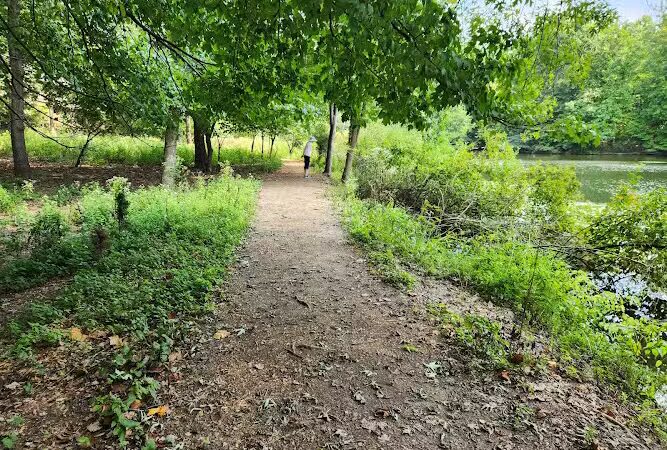 Winkler Botanical Preserve - Alexandria, VA