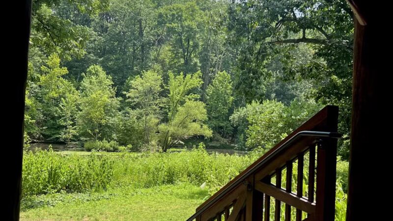 Winkler Botanical Preserve - Alexandria, VA