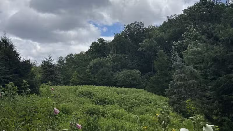 Winkler Botanical Preserve - Alexandria, VA