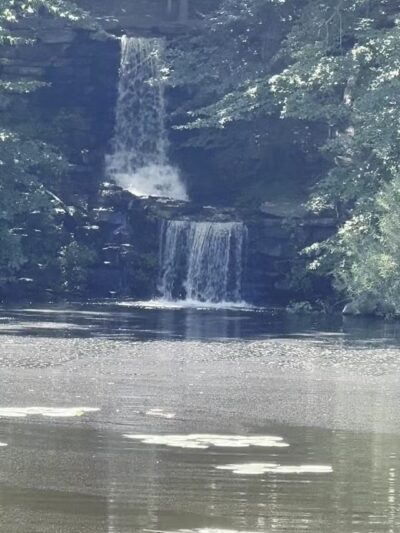 Winkler Botanical Preserve - Alexandria, VA