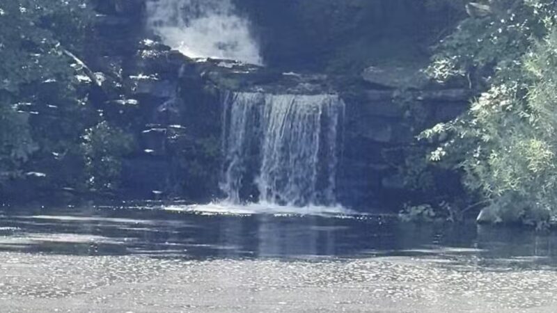 Winkler Botanical Preserve - Alexandria, VA
