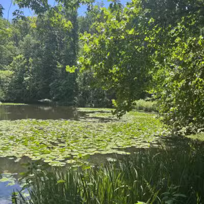 Winkler Botanical Preserve - Alexandria, VA