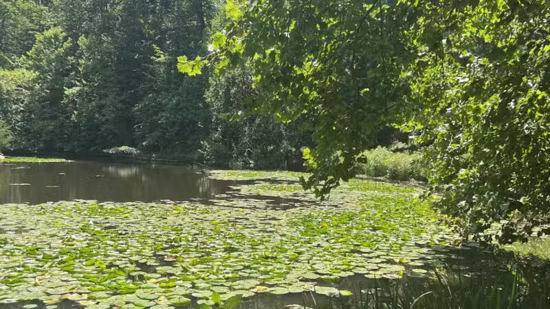 Winkler Botanical Preserve - Alexandria, VA