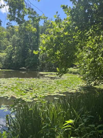 Winkler Botanical Preserve - Alexandria, VA