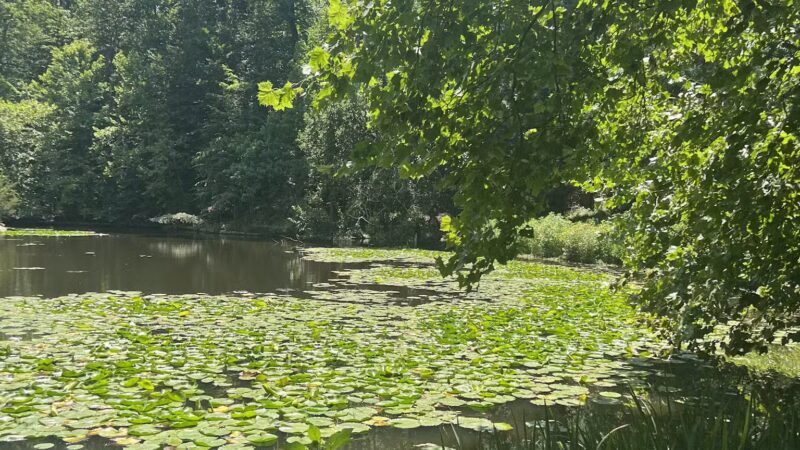 Winkler Botanical Preserve - Alexandria, VA