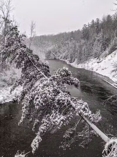 Bryan's Hiking Trail - Alger, MI