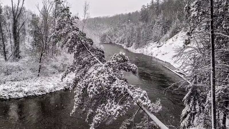 Bryan's Hiking Trail - Alger, MI