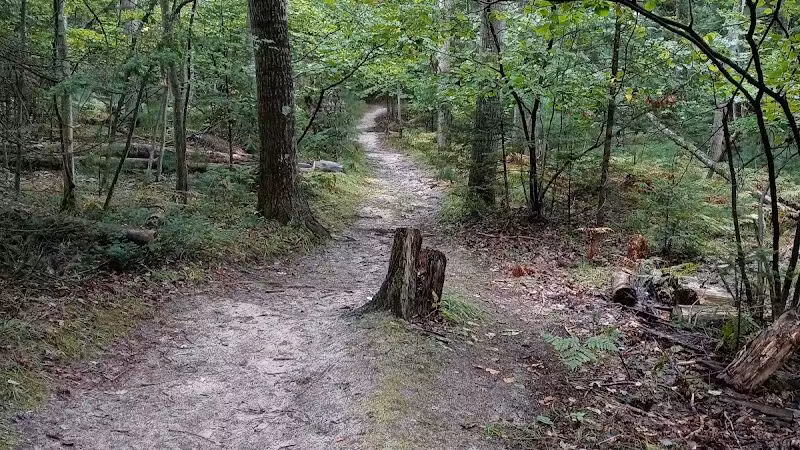 Bryan's Hiking Trail - Alger, MI