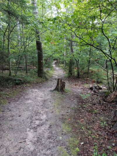 Bryan's Hiking Trail - Alger, MI