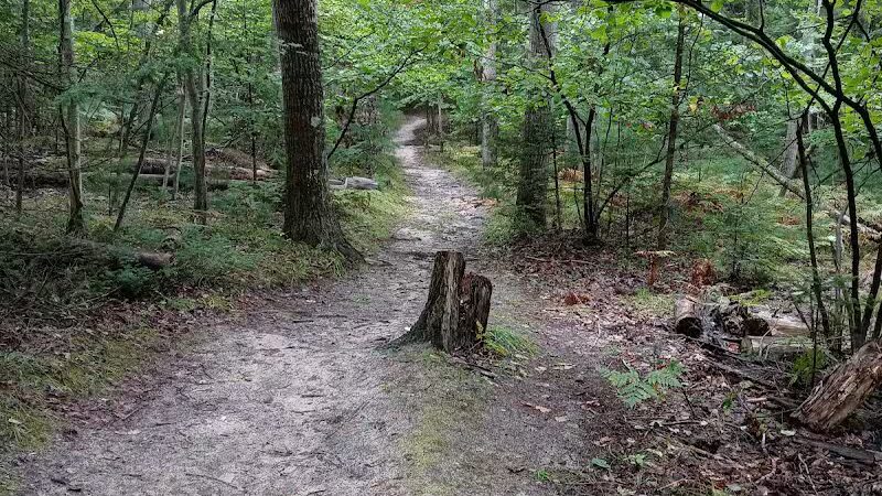 Bryan's Hiking Trail - Alger, MI