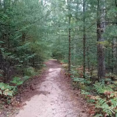 Bryan's Hiking Trail - Alger, MI