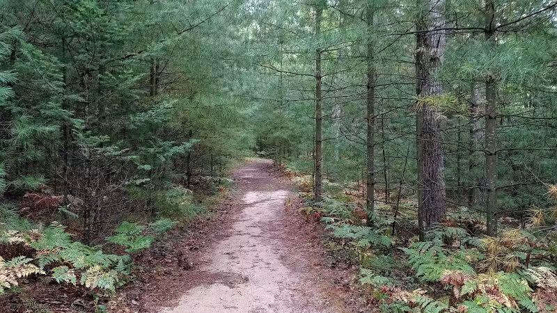 Bryan's Hiking Trail - Alger, MI