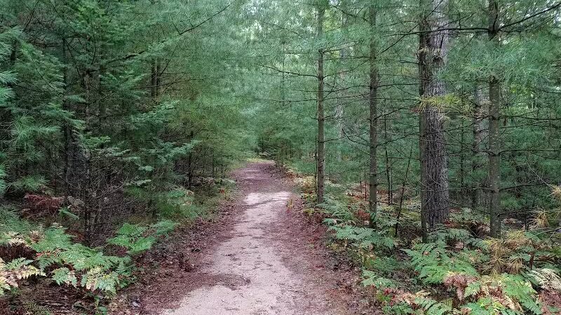 Bryan's Hiking Trail - Alger, MI