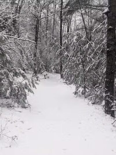 Bryan's Hiking Trail - Alger, MI