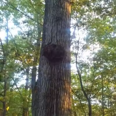 Oasis Lake Park & Campground - Alger, MI