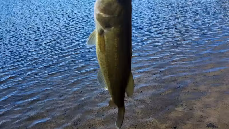 Oasis Lake Park & Campground - Alger, MI