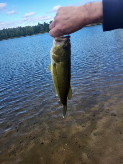 Oasis Lake Park & Campground - Alger, MI