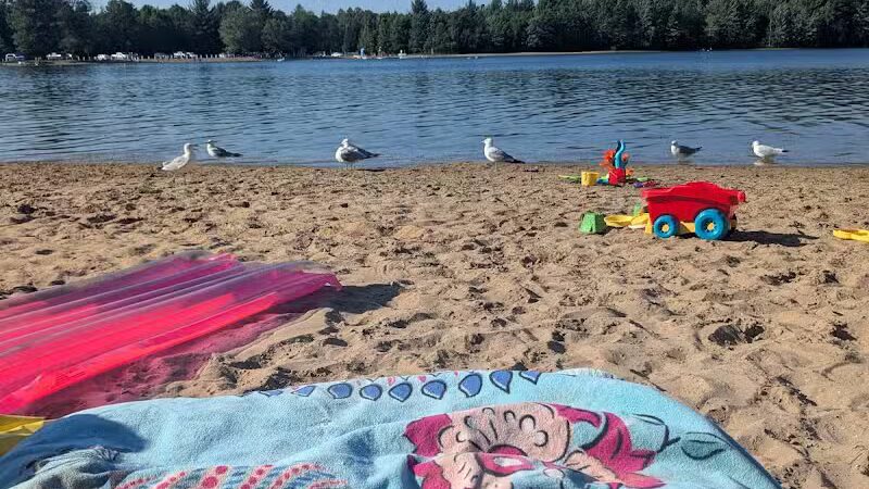 Oasis Lake Park & Campground - Alger, MI