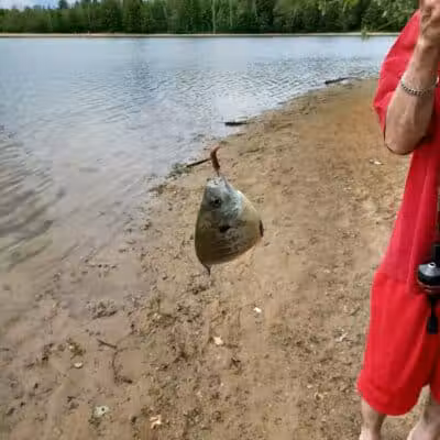 Oasis Lake Park & Campground - Alger, MI