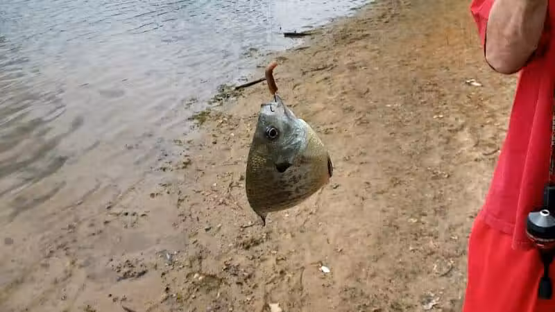 Oasis Lake Park & Campground - Alger, MI