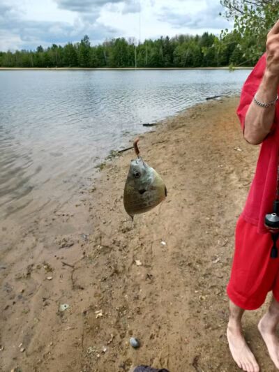 Oasis Lake Park & Campground - Alger, MI