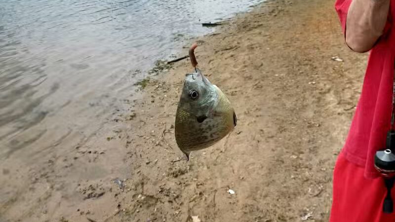 Oasis Lake Park & Campground - Alger, MI