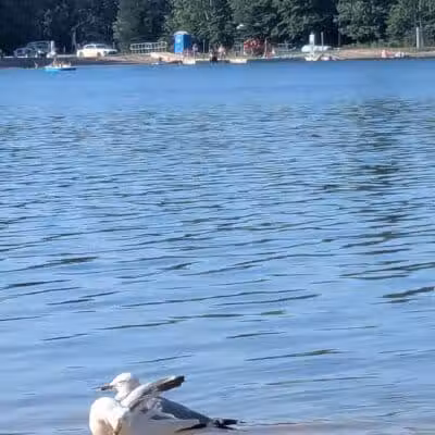 Oasis Lake Park & Campground - Alger, MI