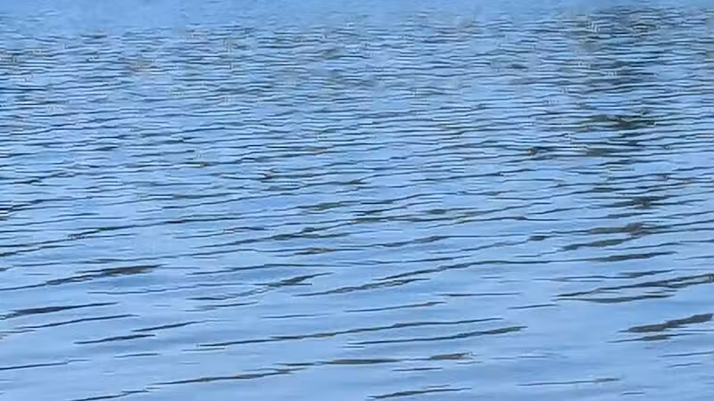 Oasis Lake Park & Campground - Alger, MI