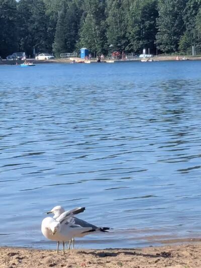 Oasis Lake Park & Campground - Alger, MI