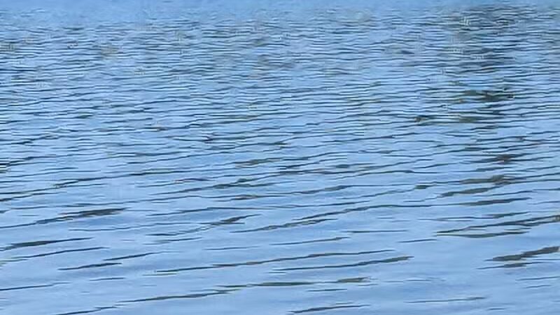 Oasis Lake Park & Campground - Alger, MI