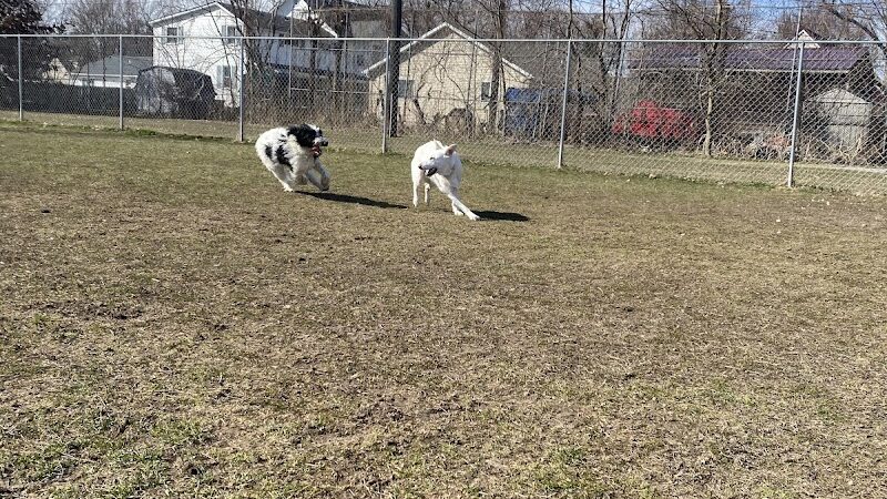 Algonac Dog Park - Algonac, MI