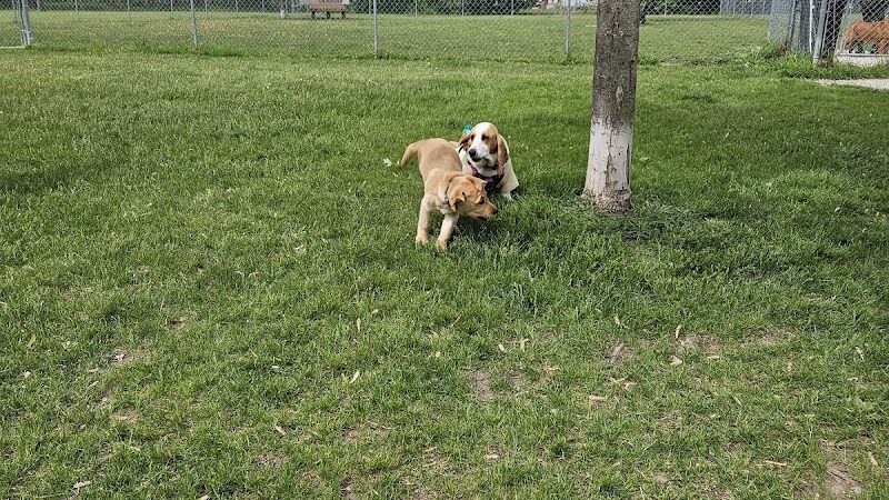 Algonac Dog Park - Algonac, MI