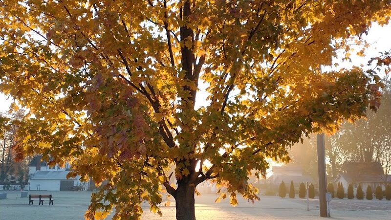 Algonac Dog Park - Algonac, MI