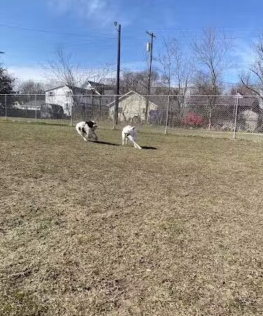 Algonac Dog Park - Algonac, MI