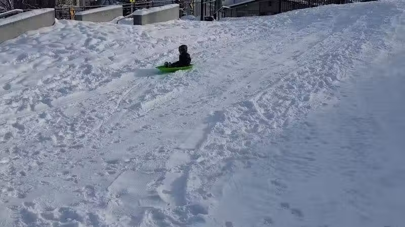 Dog Park- Jaycee Park - Allegan, MI