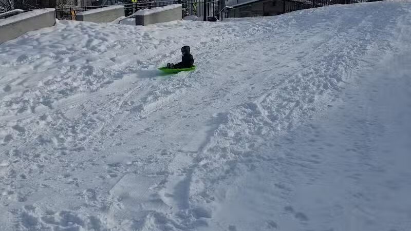 Dog Park- Jaycee Park - Allegan, MI