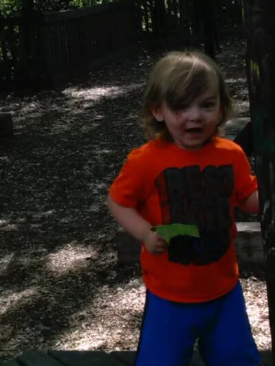 Dog Park- Jaycee Park - Allegan, MI