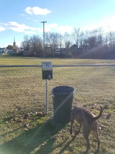 Dog Park- Jaycee Park - Allegan, MI